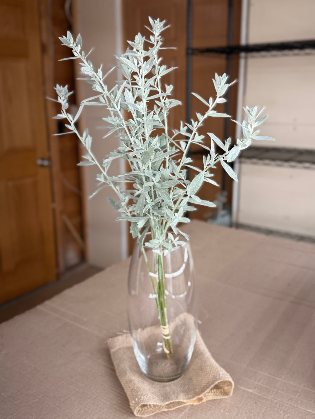 White Sage - fine textured