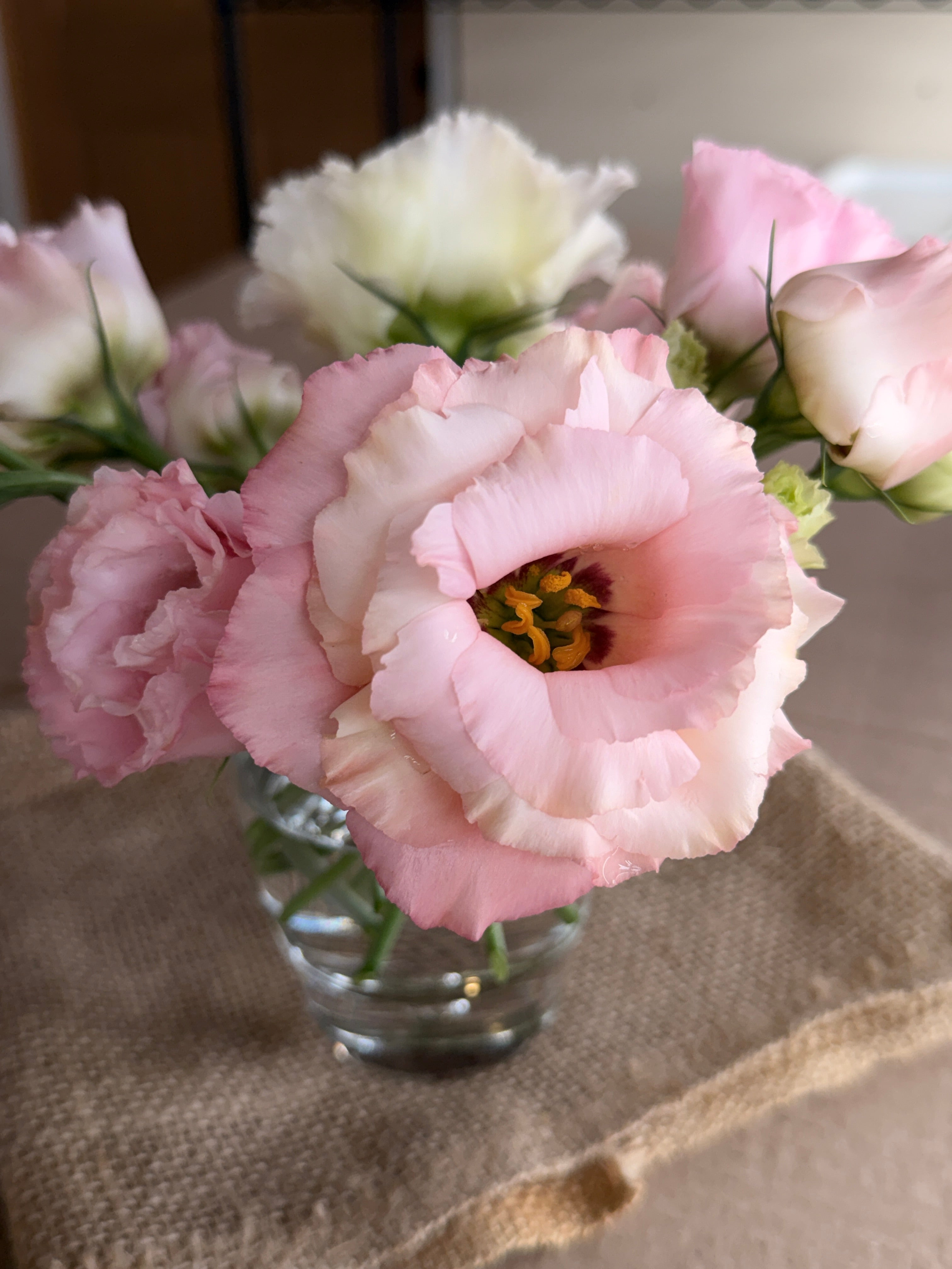 Lisianthus - Peach