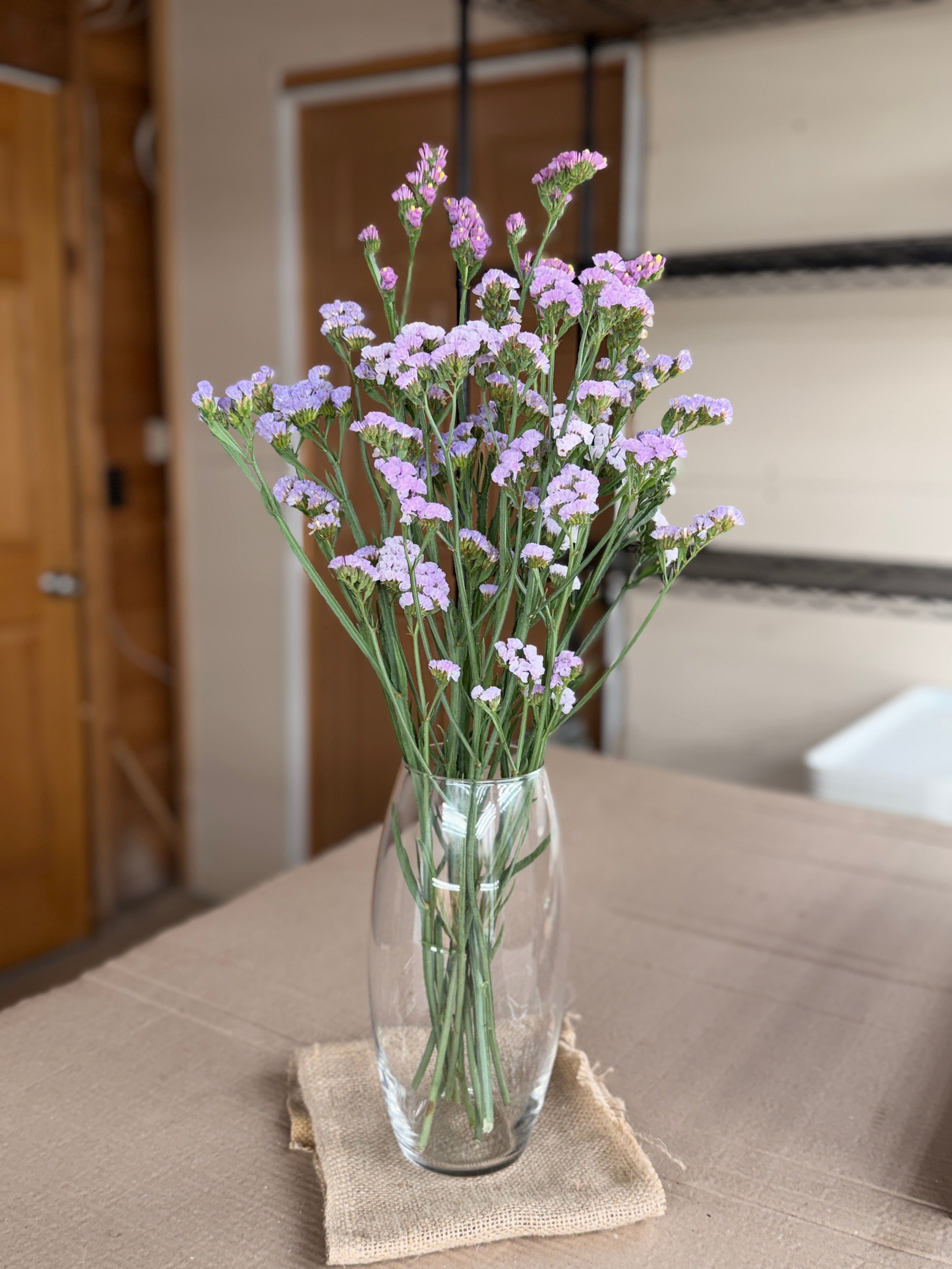 Statice - Lavender Shades
