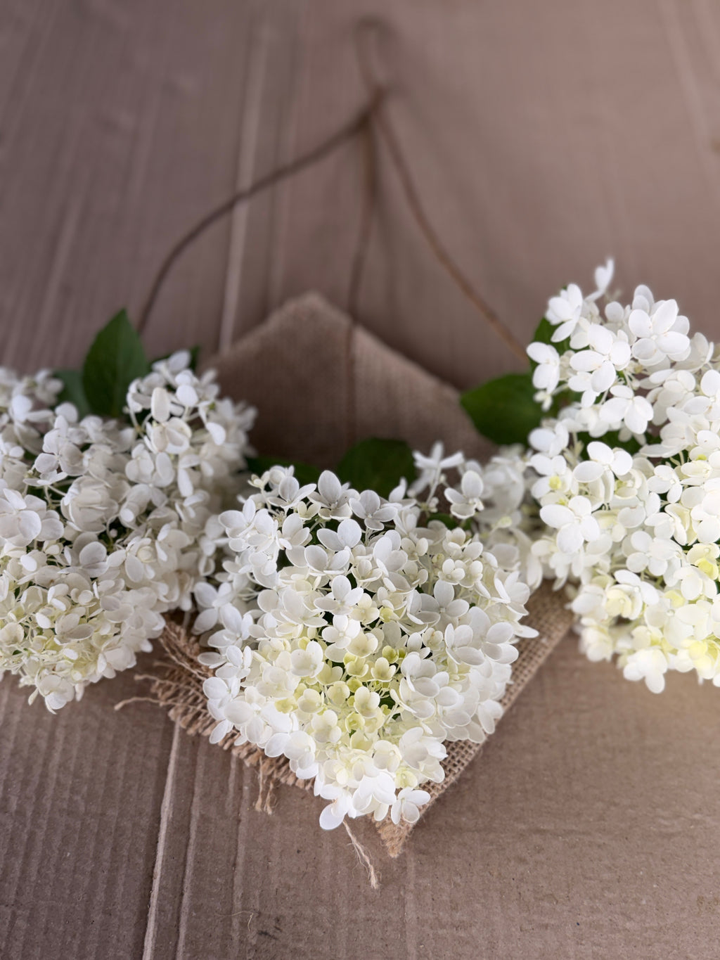 Hydrangea - Small Panicle