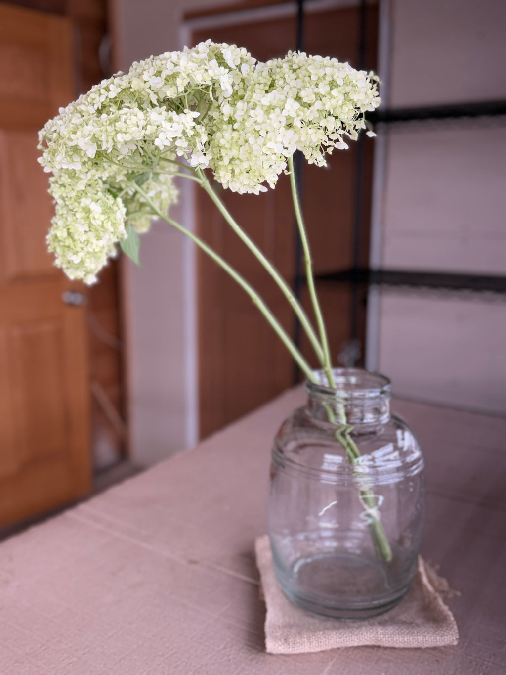 Hydrangea - Large White