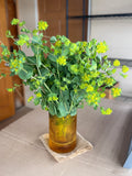 Bupleurum