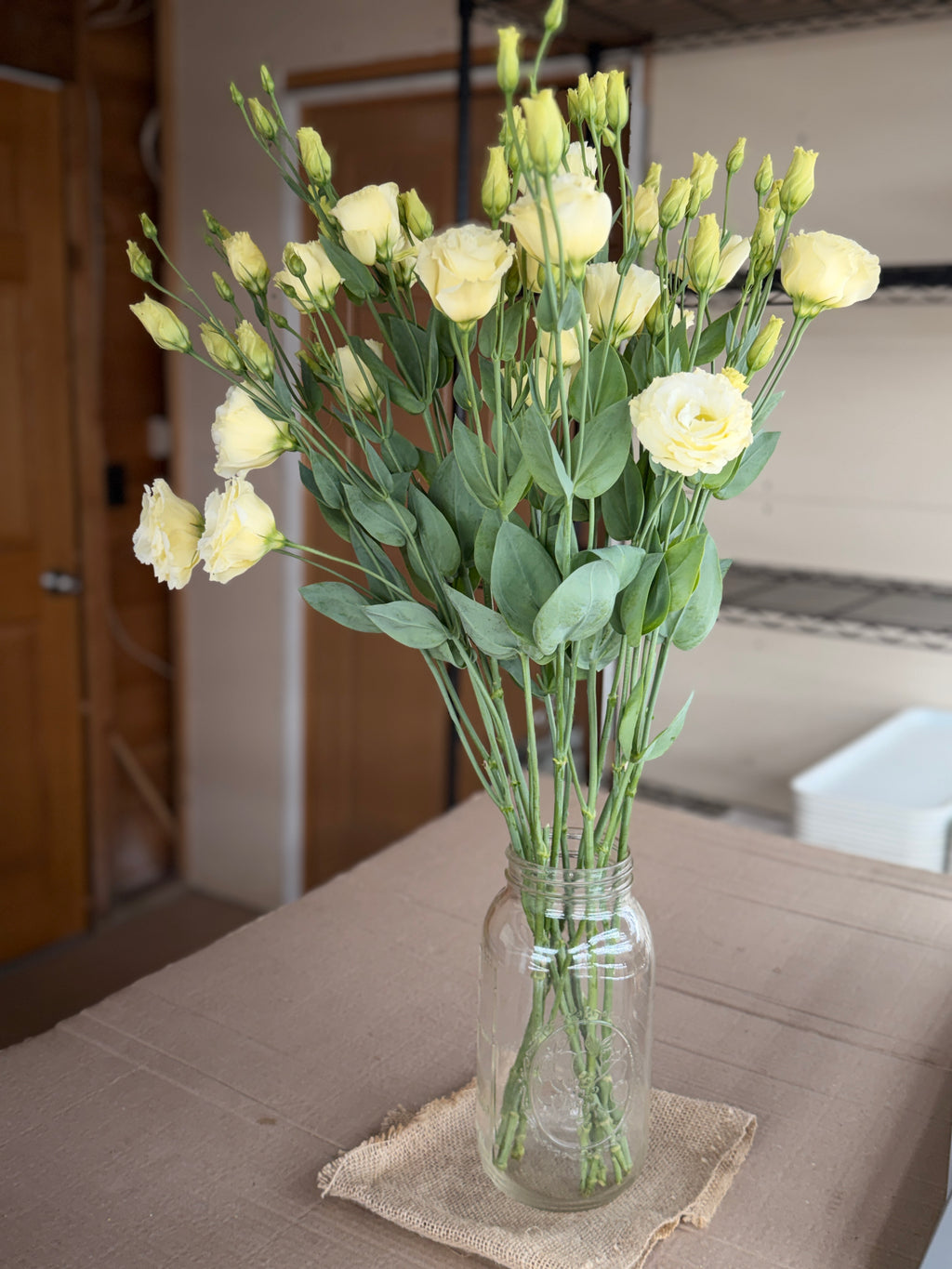 Lisianthus - Primrose