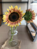 Sunflower - Procut Plum