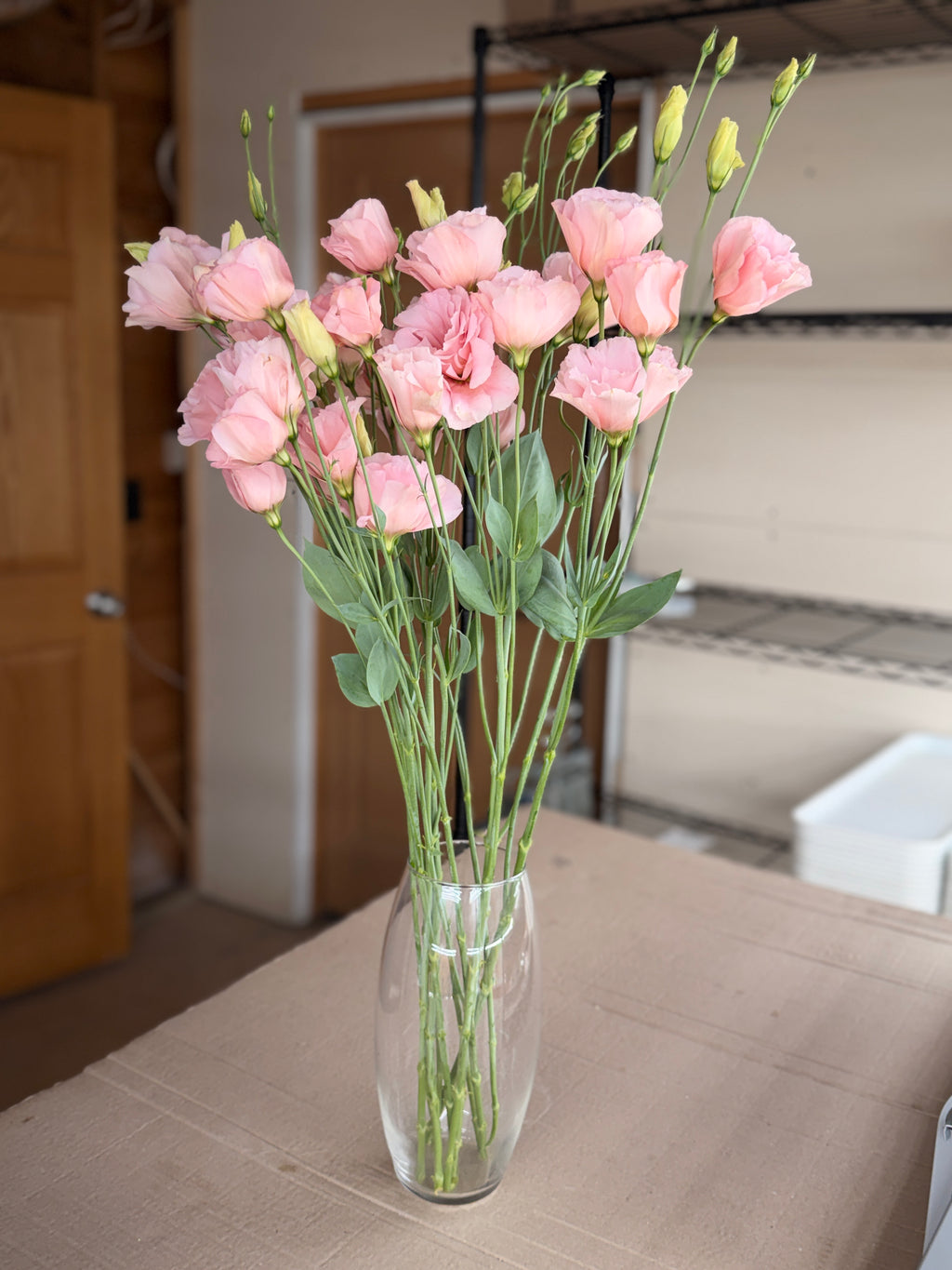 Lisianthus - Peach