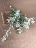 White Sage - fine textured
