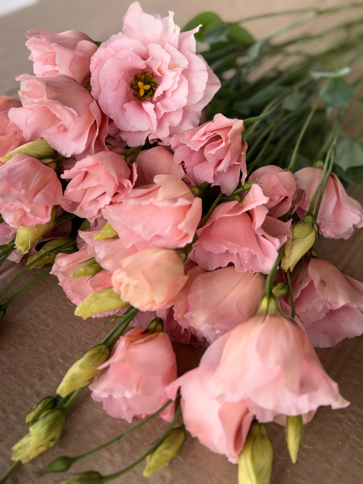 Lisianthus - Peach