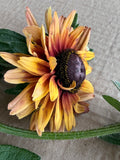 Rudbeckia - Sahara