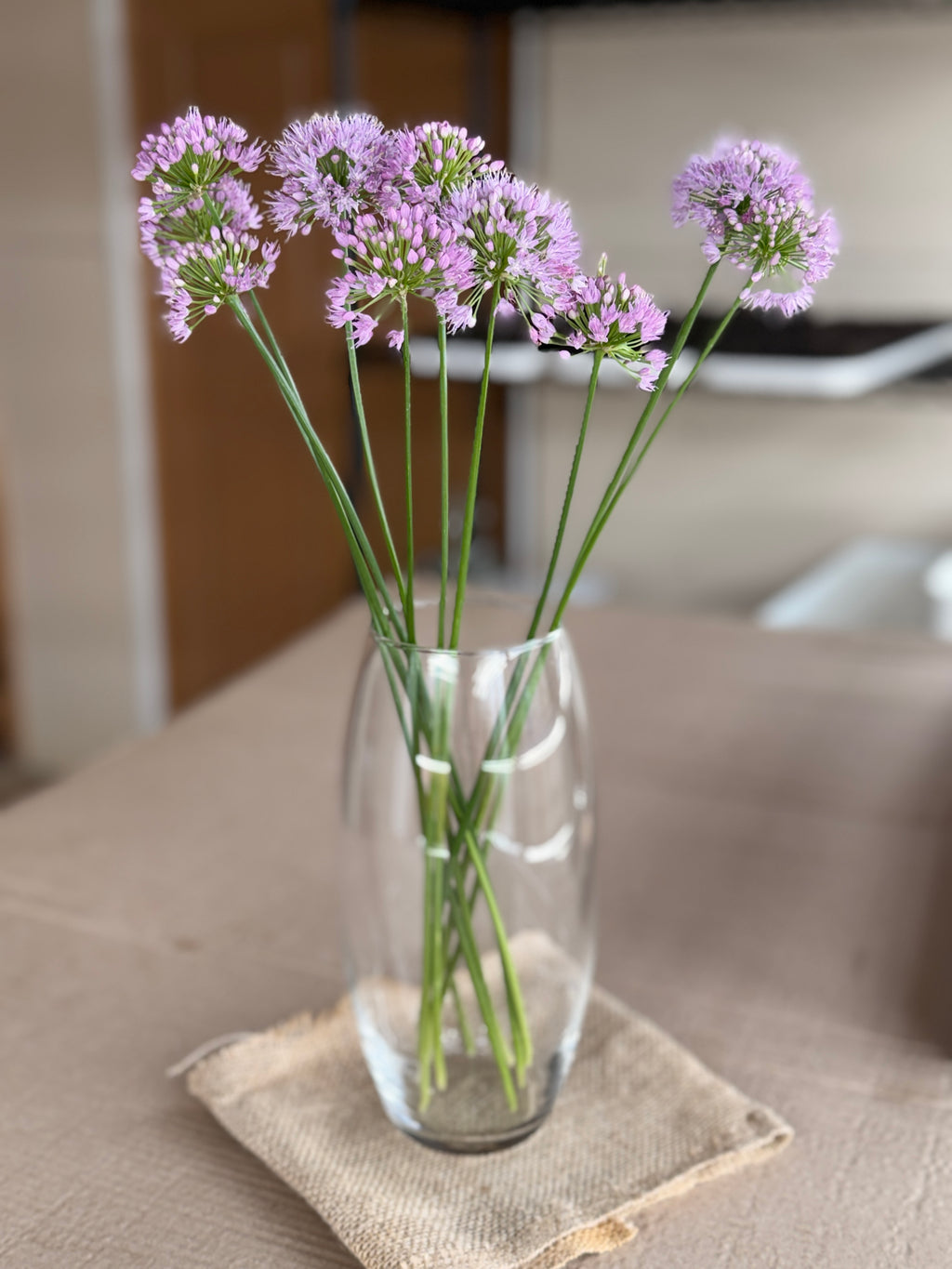 Allium - Millennium
