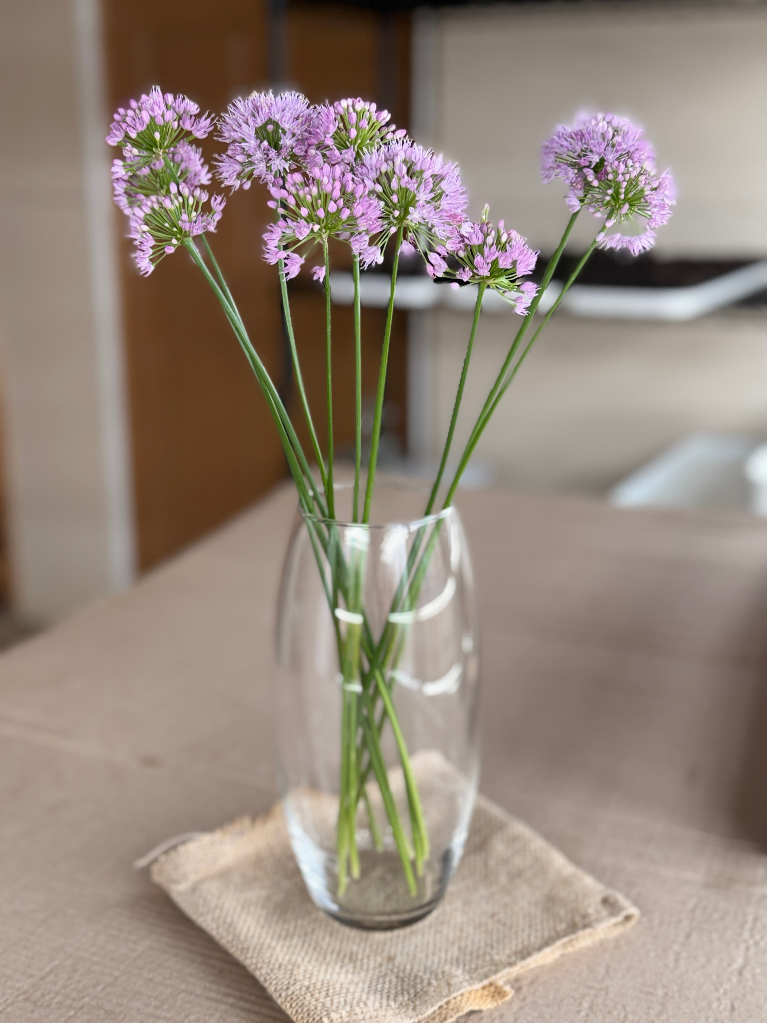Allium - Millennium