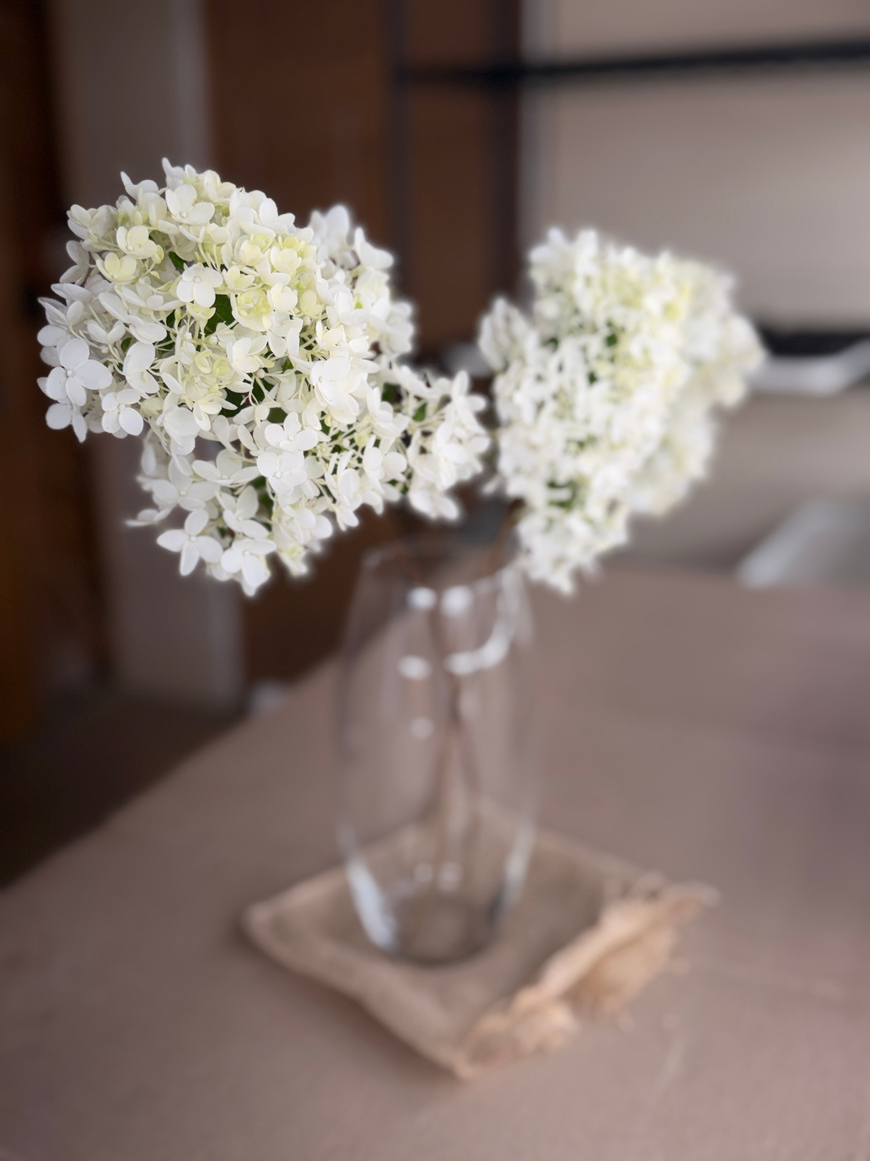 Hydrangea - Small Panicle