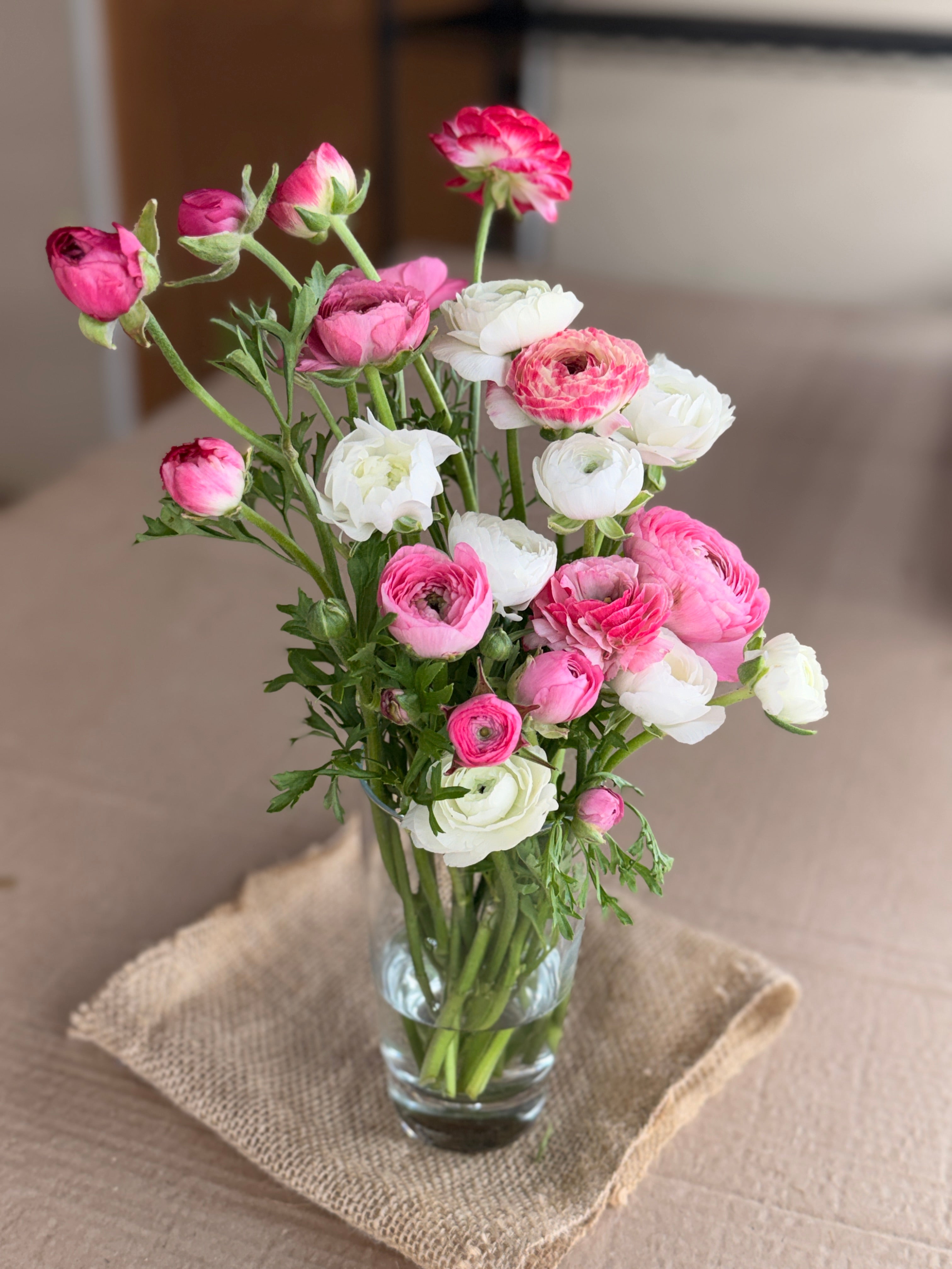 Ranunculus - Pink and White