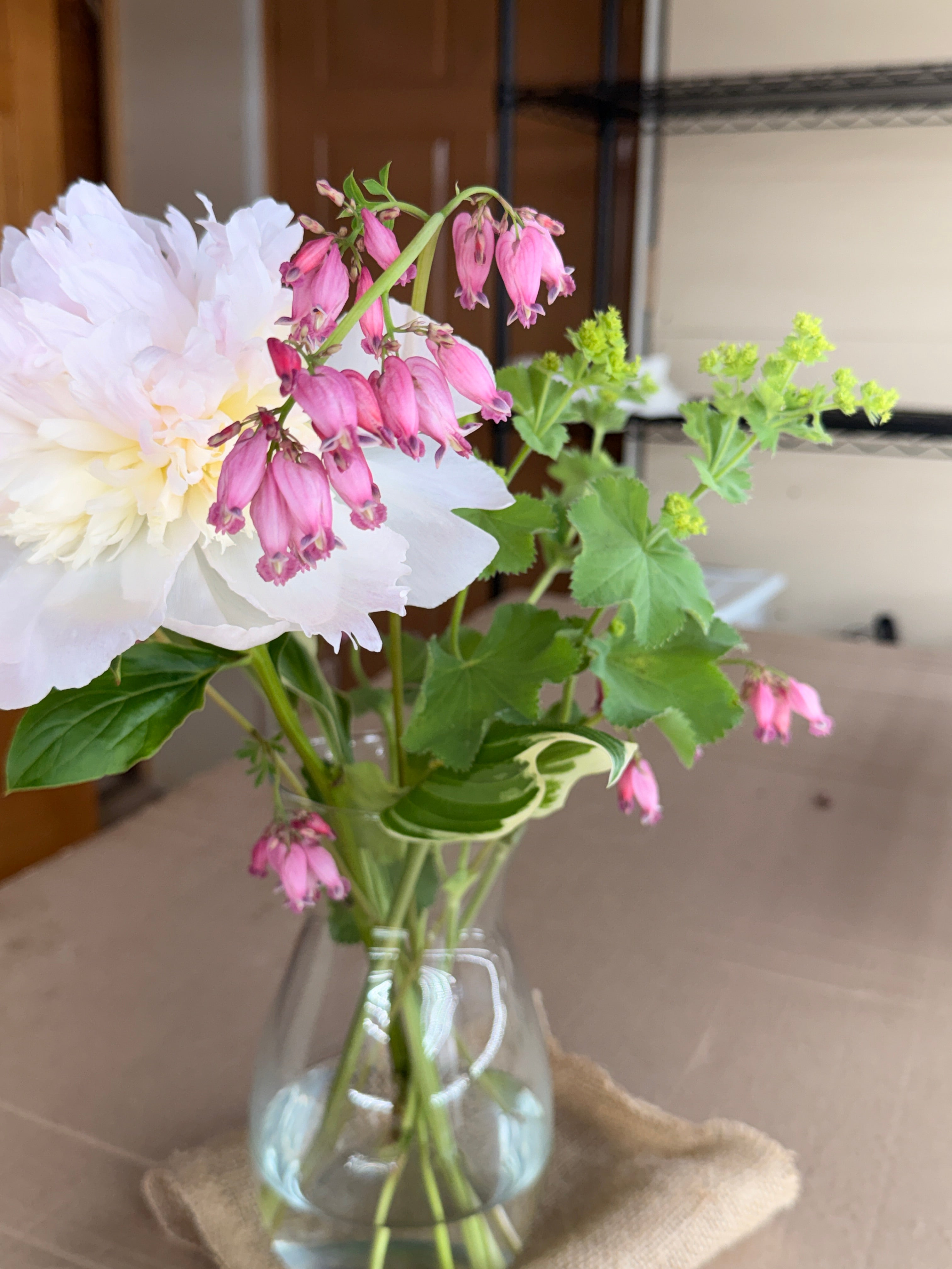Bleeding Heart - Mini Pink