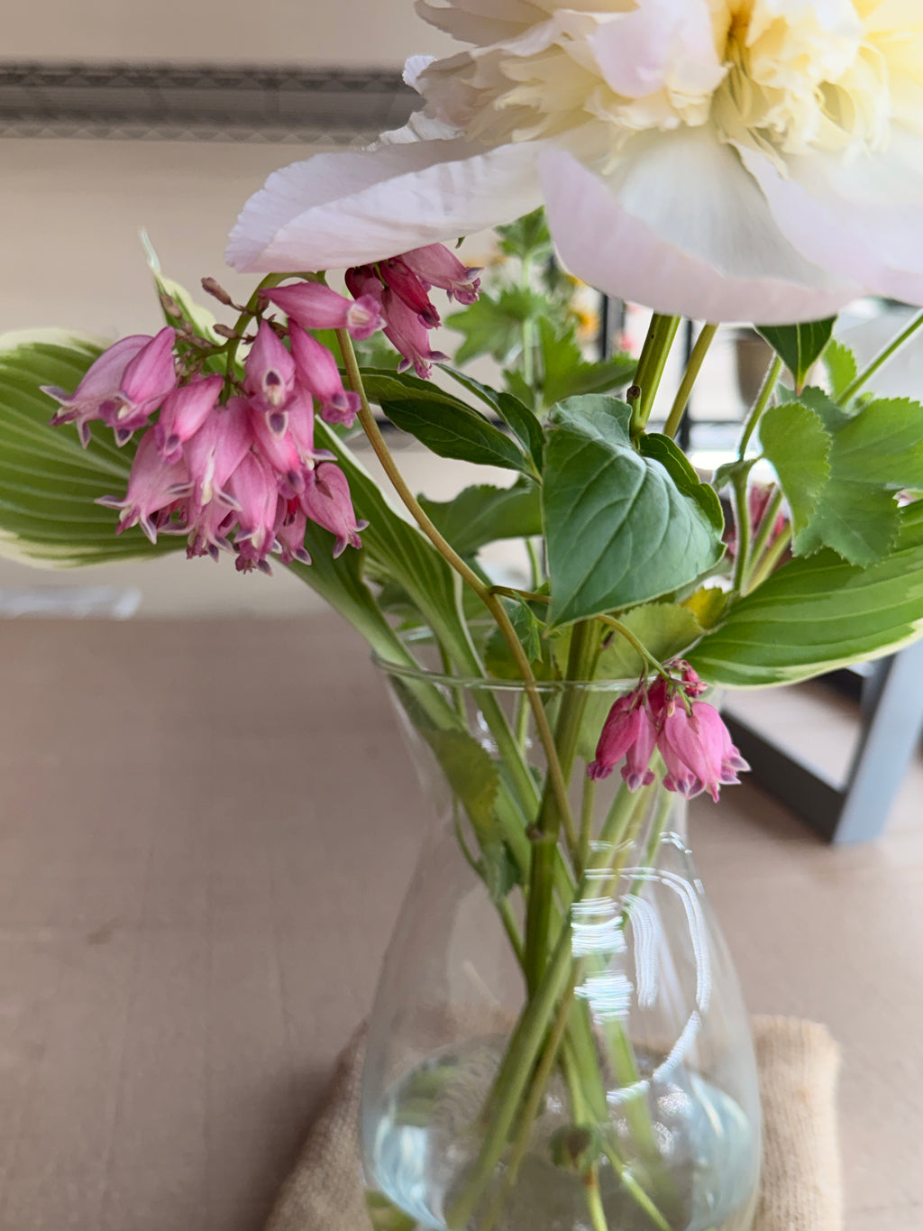 Bleeding Heart - Mini Pink