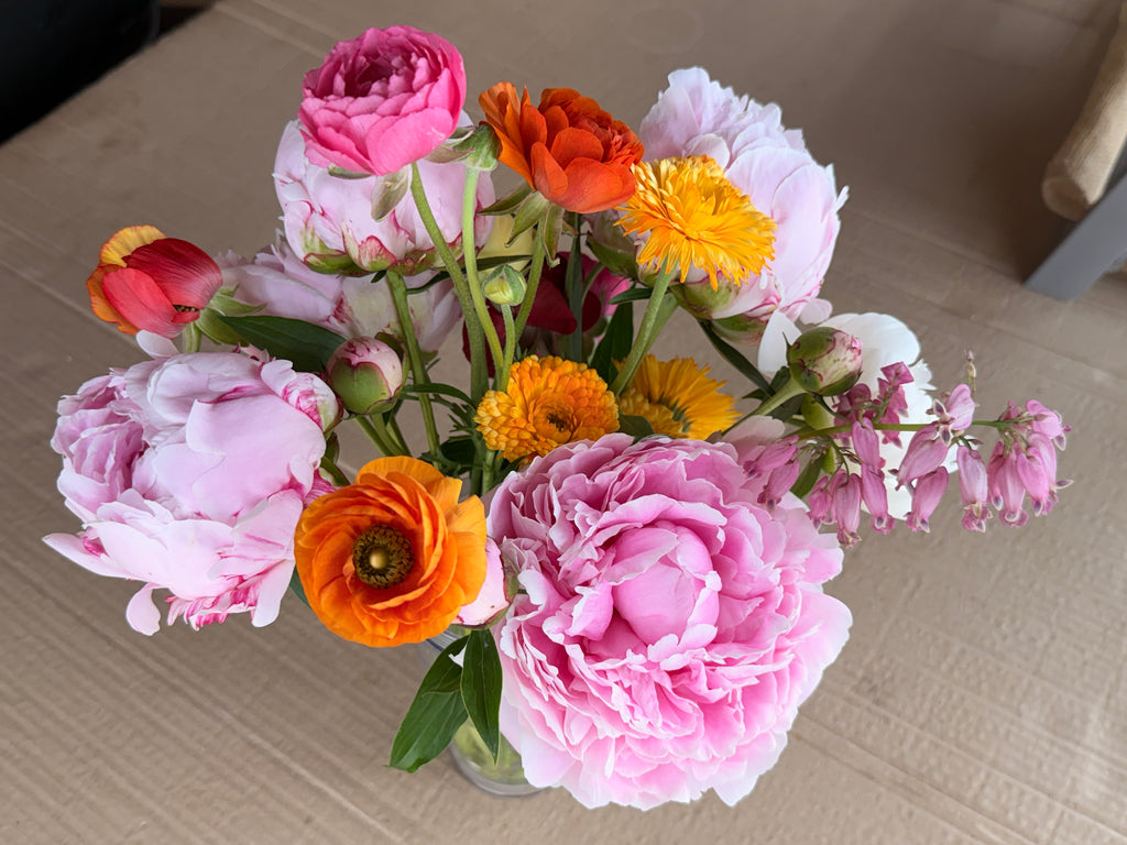 Ranunculus - Mixed Colors