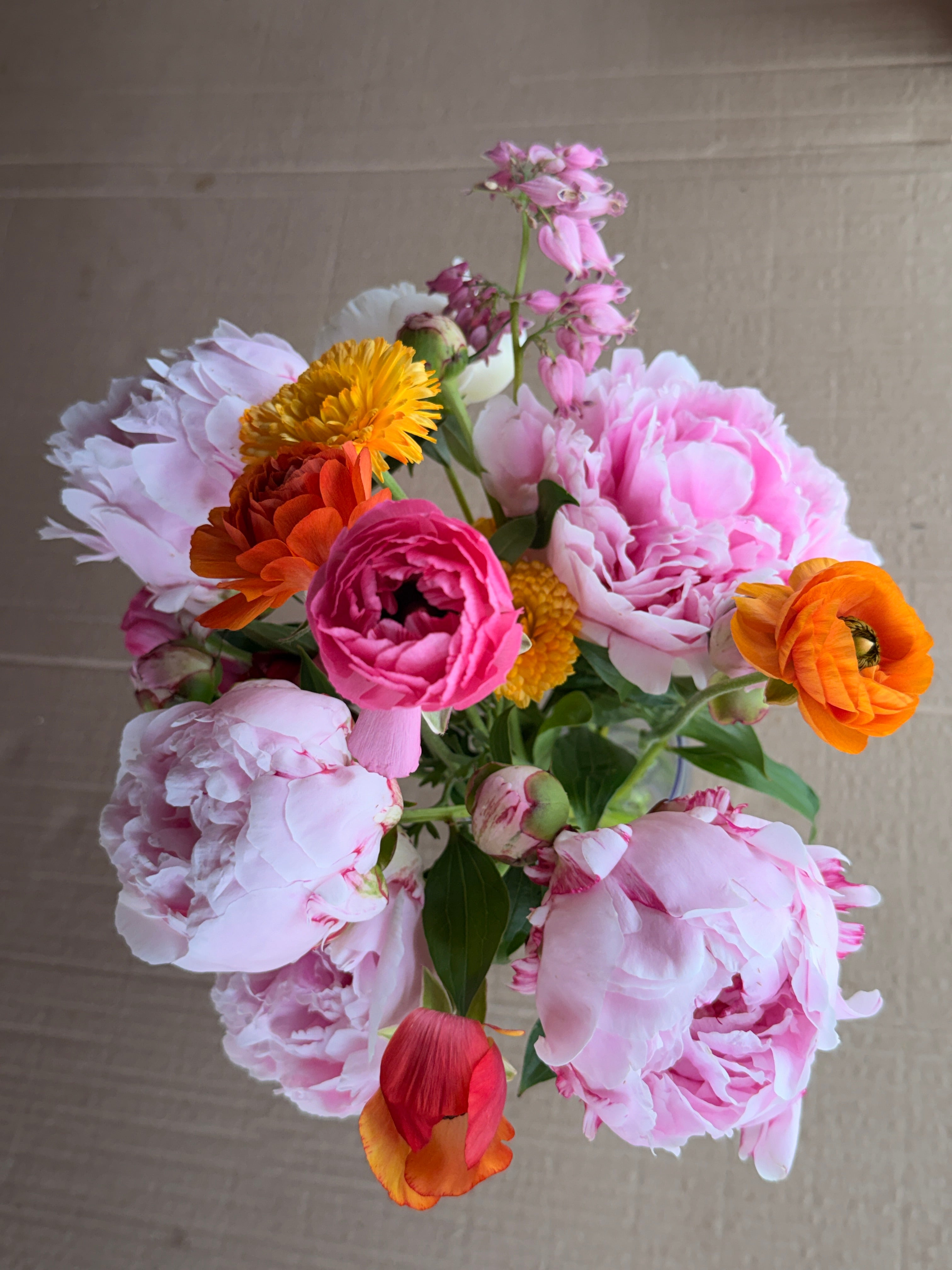 Peony - (Pink) Sarah Bernhardt