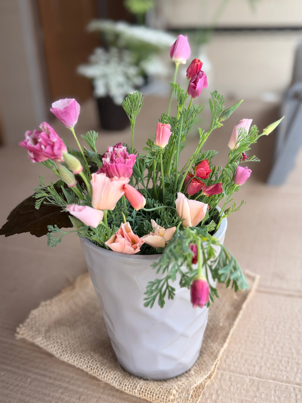 California Poppy - Peach & Pink Mix
