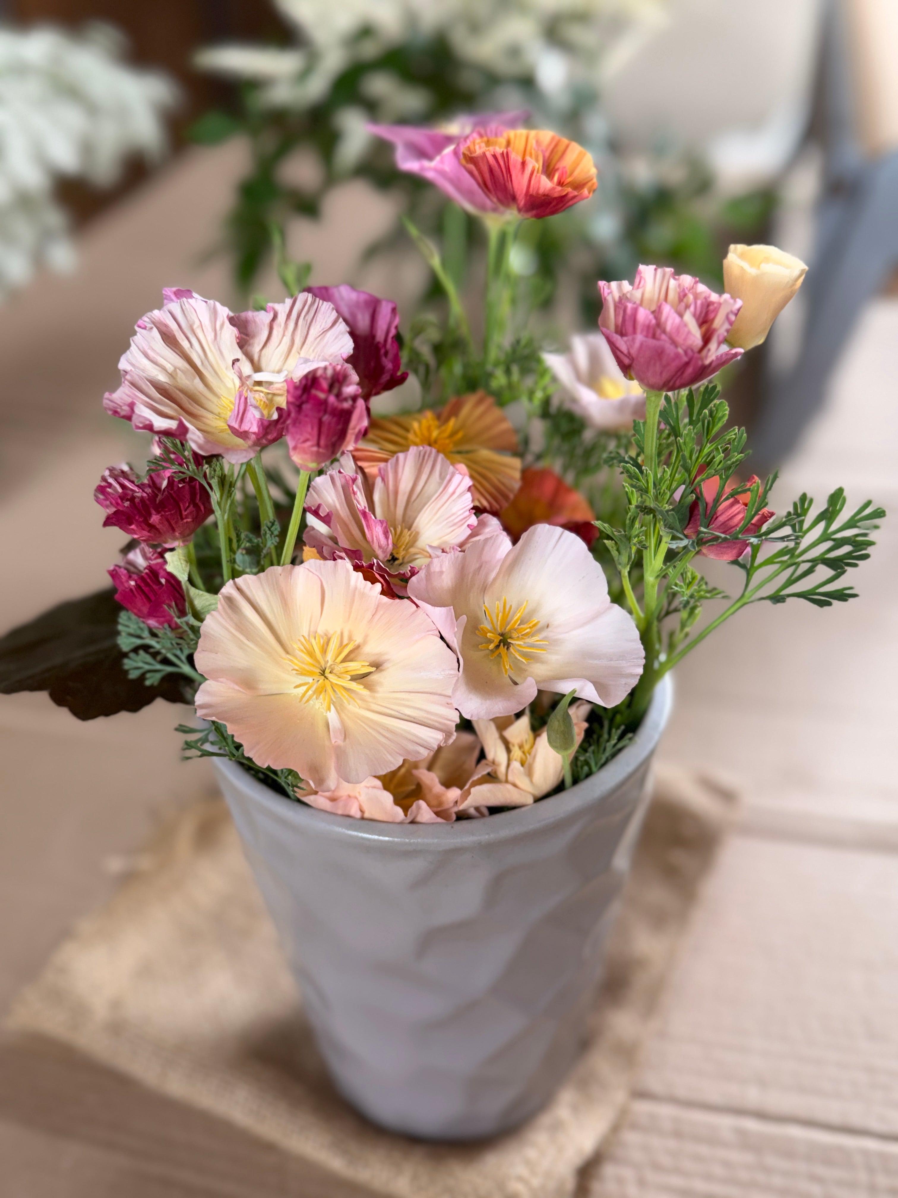 California Poppy - Peach & Pink Mix