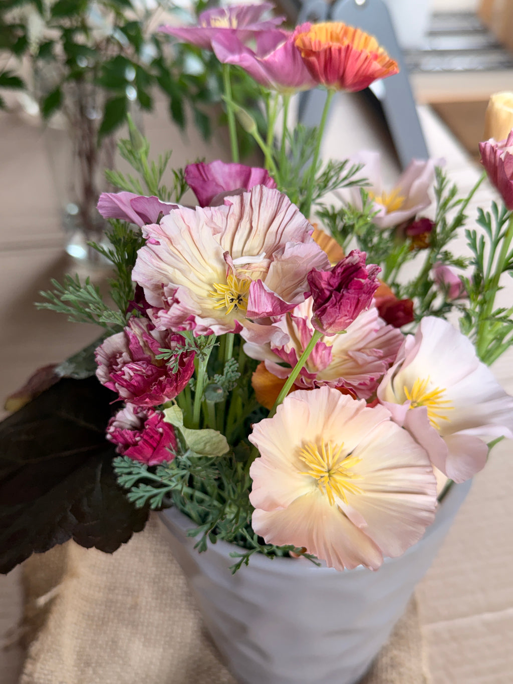 California Poppy - Peach & Pink Mix