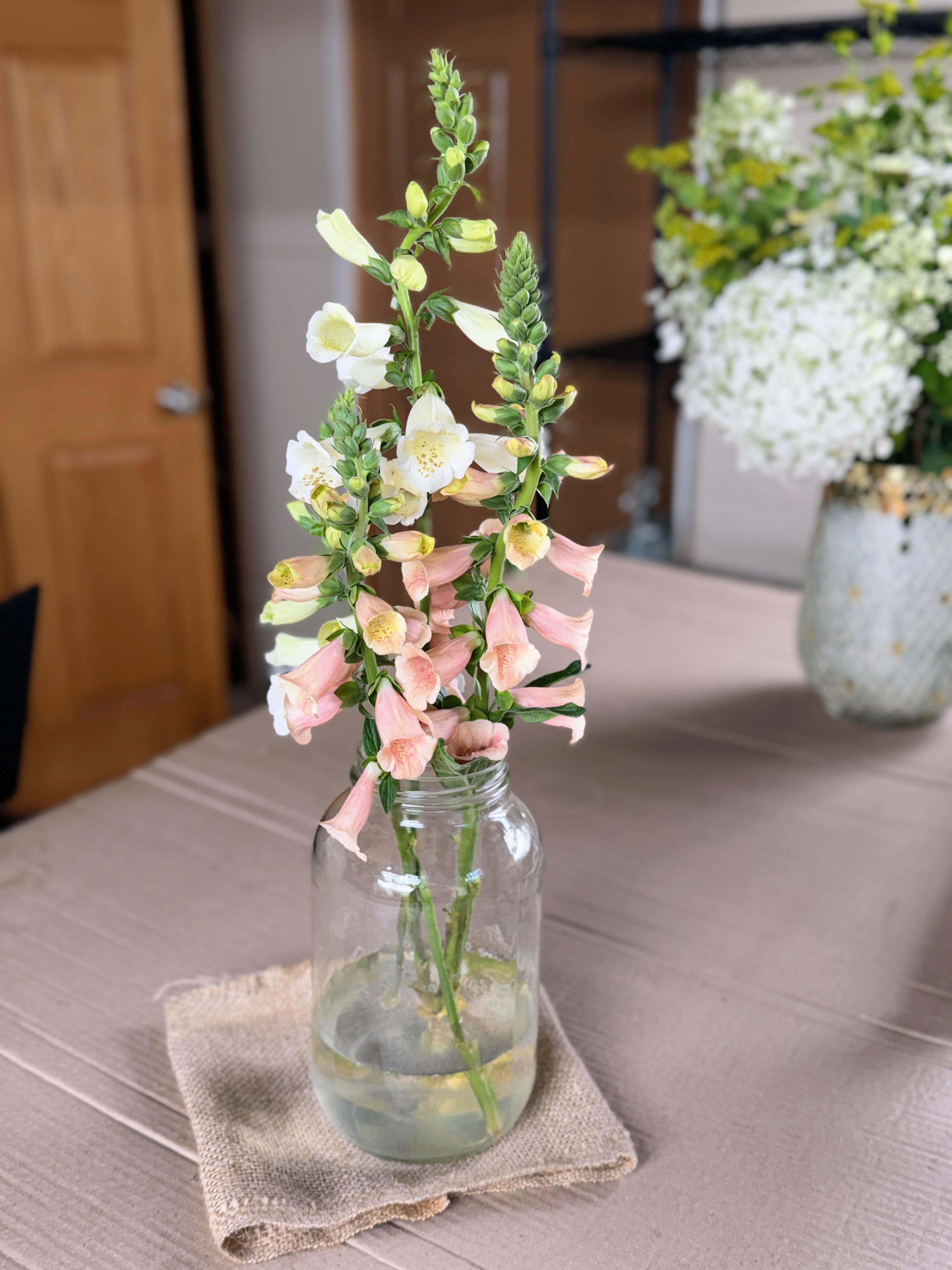 Foxglove - Dalmation Peach