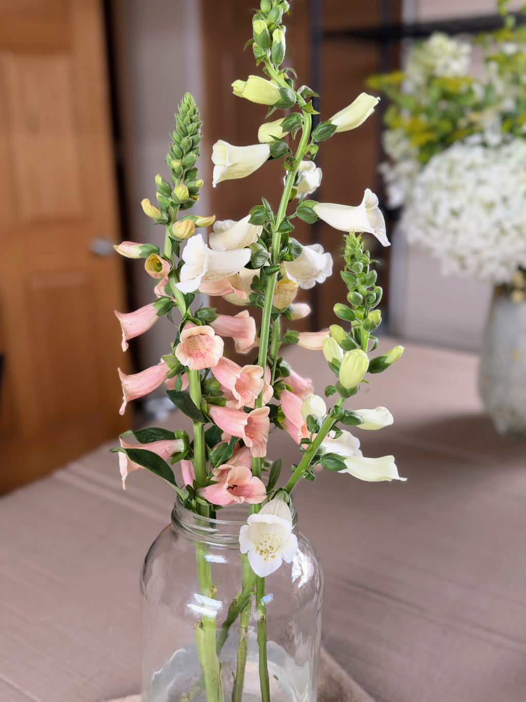 Foxglove - Dalmation Peach