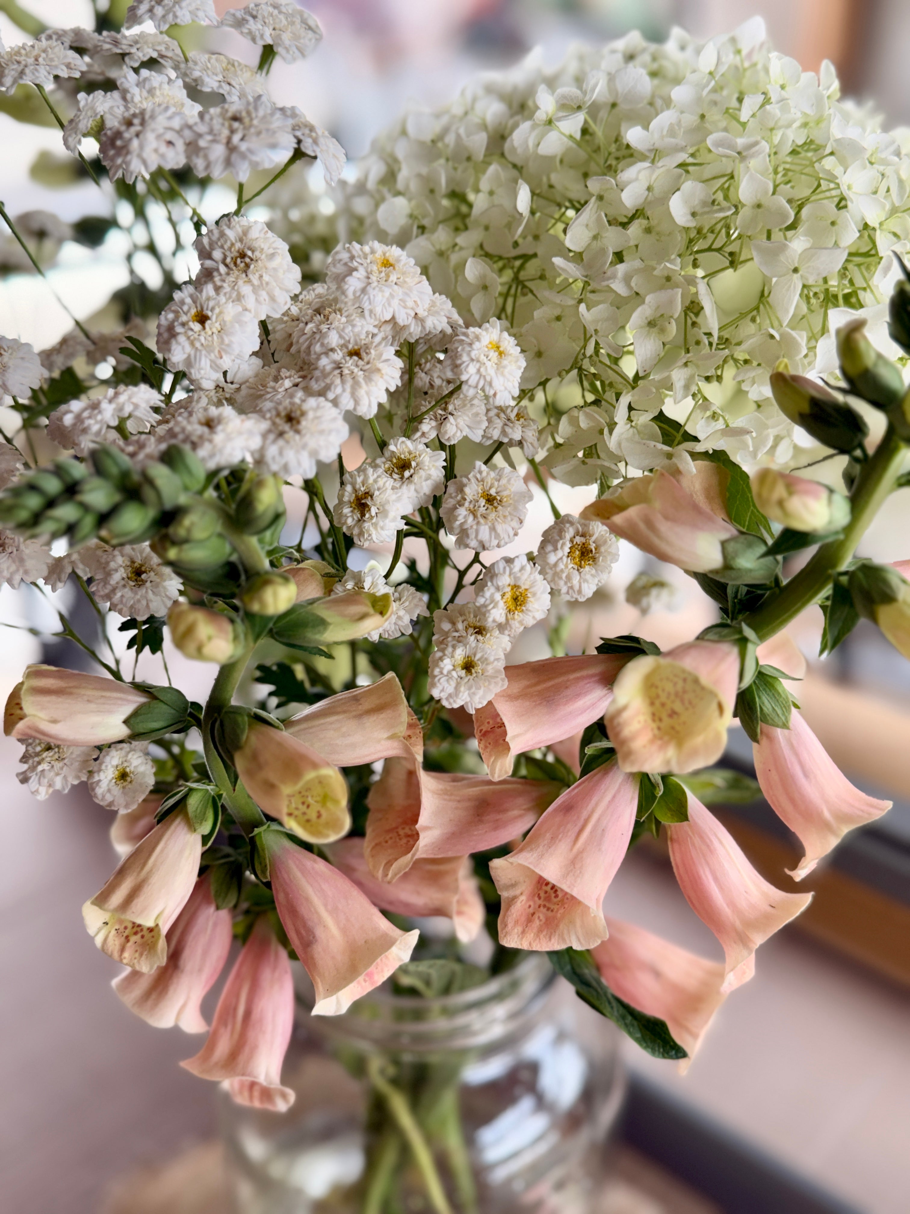 Foxglove - Dalmation Peach
