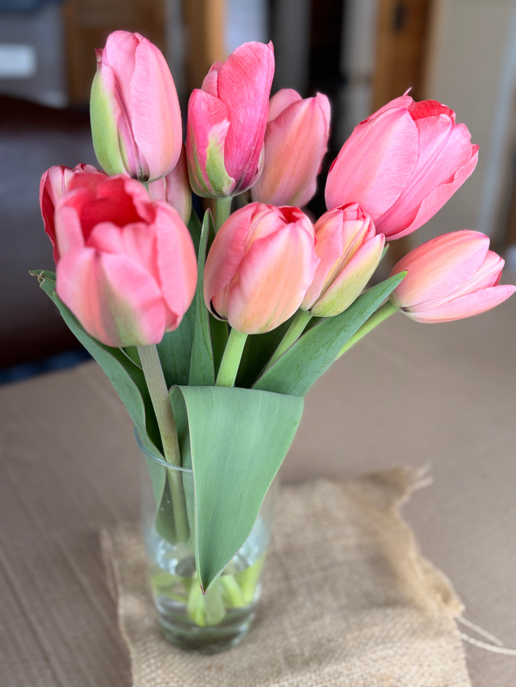 Tulip - Pink Impression