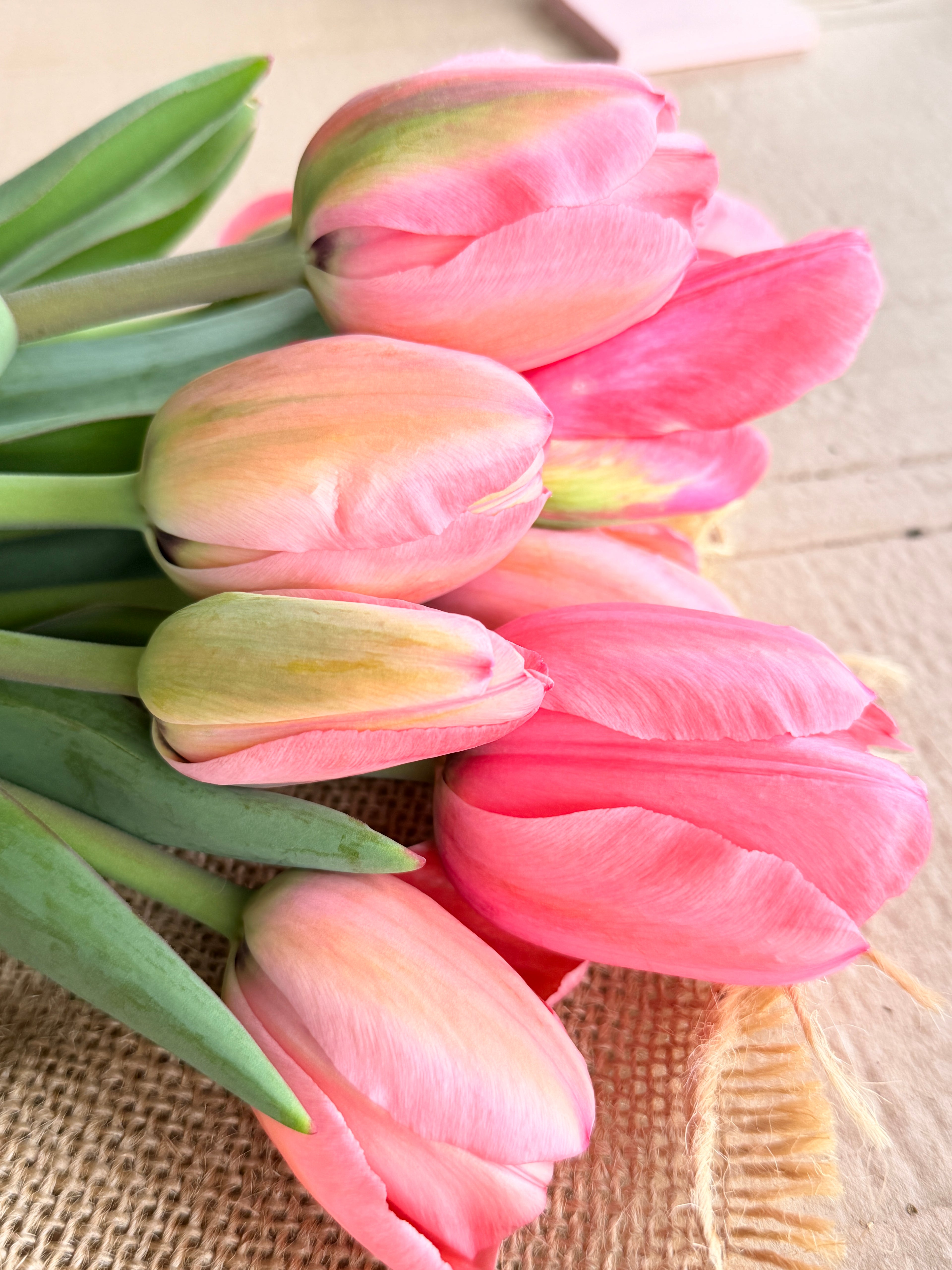 Tulip - Pink Impression