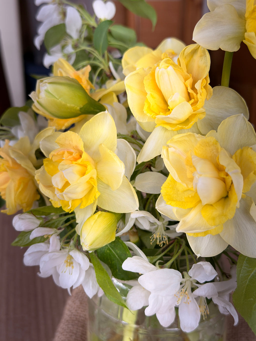 Daffodil - Art Design