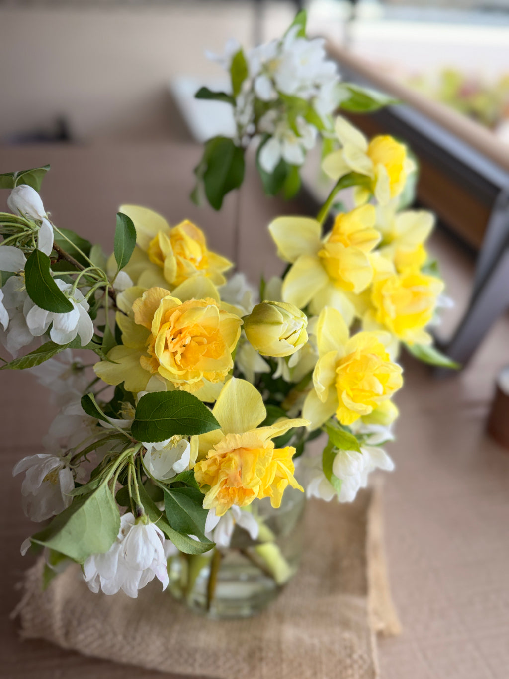 Daffodil - Art Design