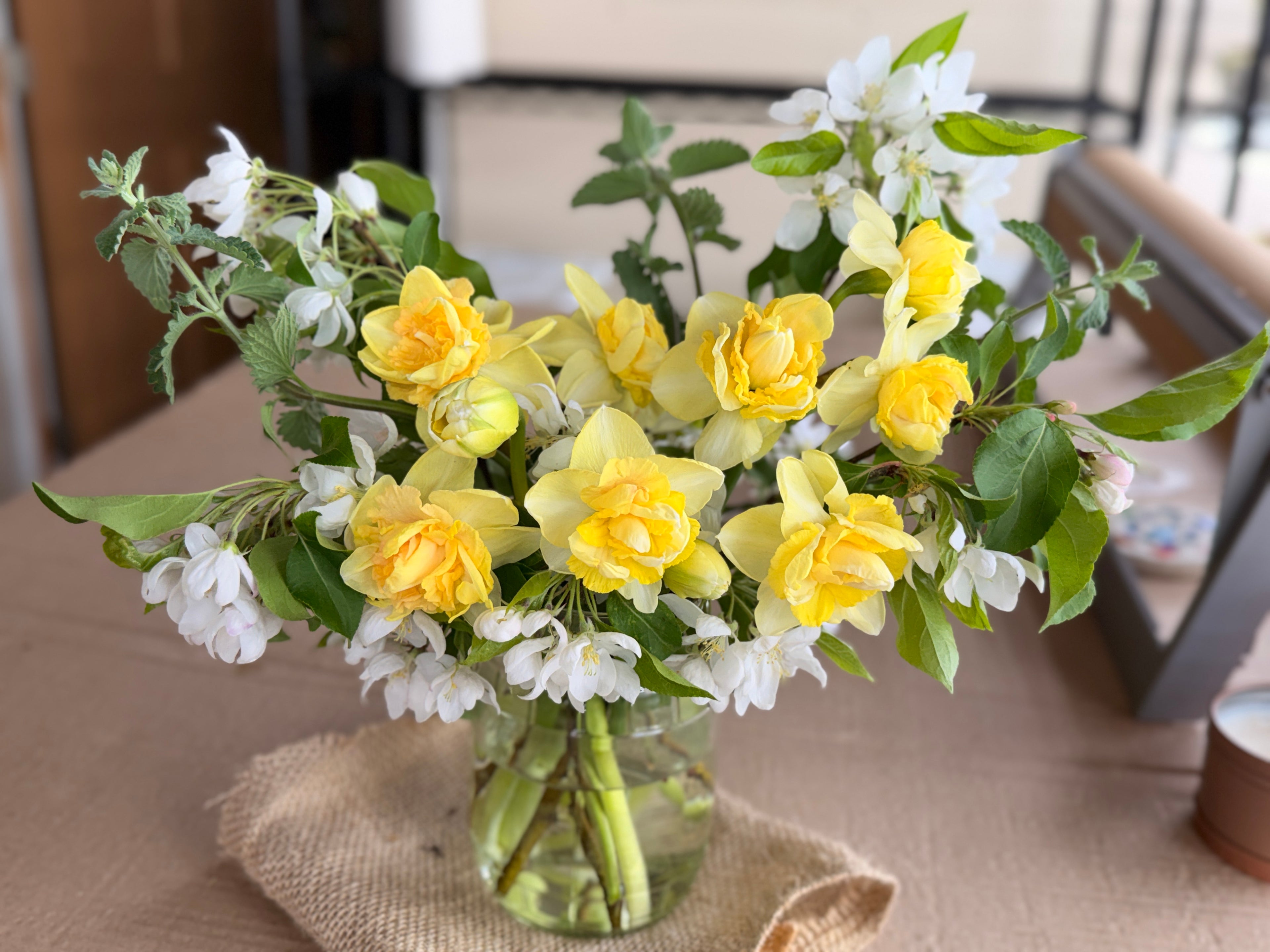 Daffodil - Art Design