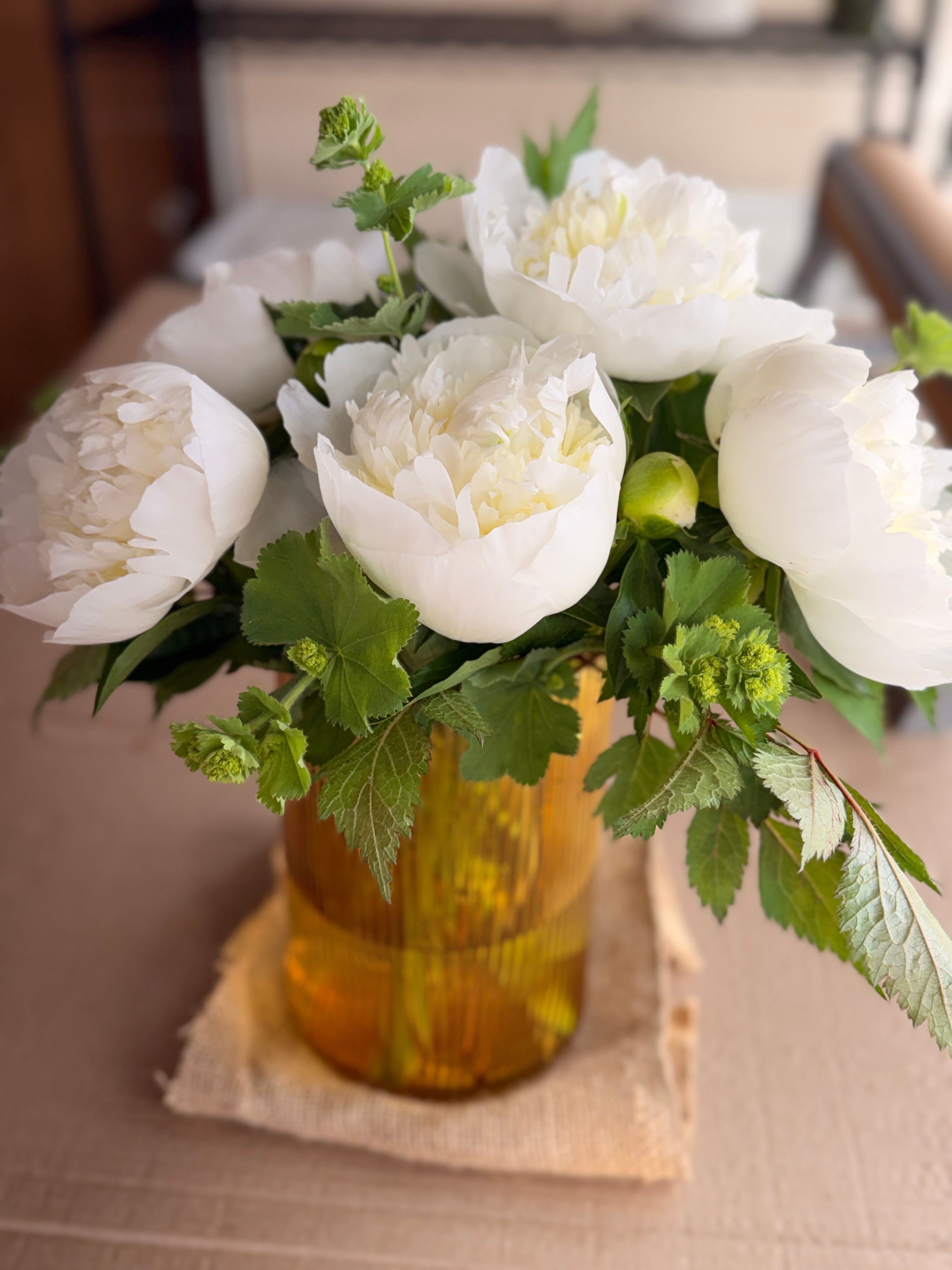 Peony - Duchesse De Nemours