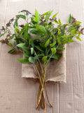 Spirea - Double Play Doozie