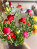 Ranunculus - Mixed Colors